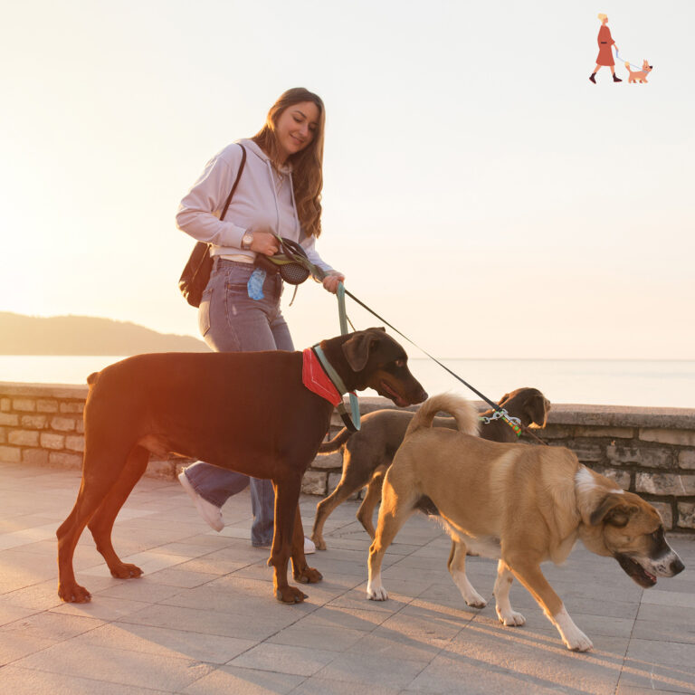 Il lavoro del Dog Sitter