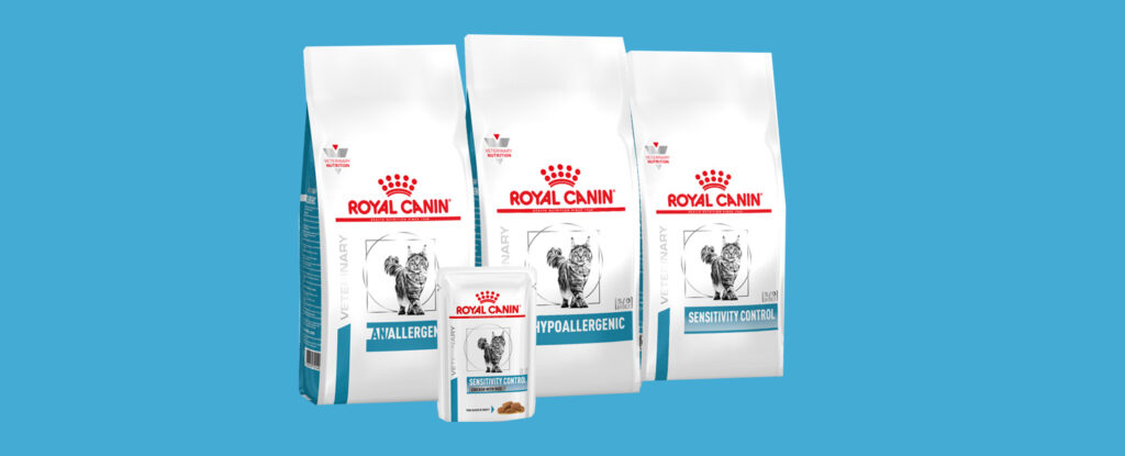 Royal Canin Gatto